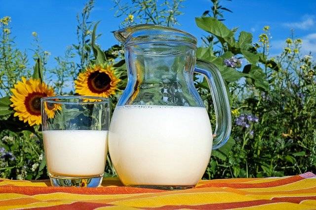 strengthen immunity - Milk and Other Dairy