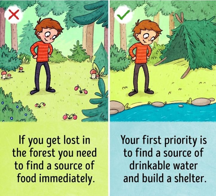 What to do if you get lost in the woods - survival myths